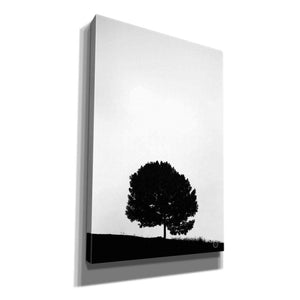 'Lone Tree Hill' by Nathan Larson, Canvas Wall Art