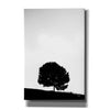 'Lone Tree Hill' by Nathan Larson, Canvas Wall Art