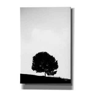 'Lone Tree Hill' by Nathan Larson, Canvas Wall Art