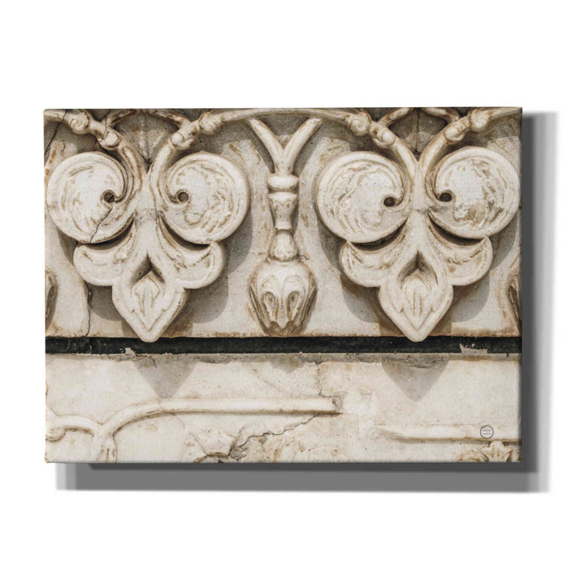 'Sculptural Detail' by Nathan Larson, Canvas Wall Art