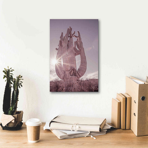 Image of 'Dusty Desert Saguaro' by Nathan Larson, Canvas Wall Art,12 x 18