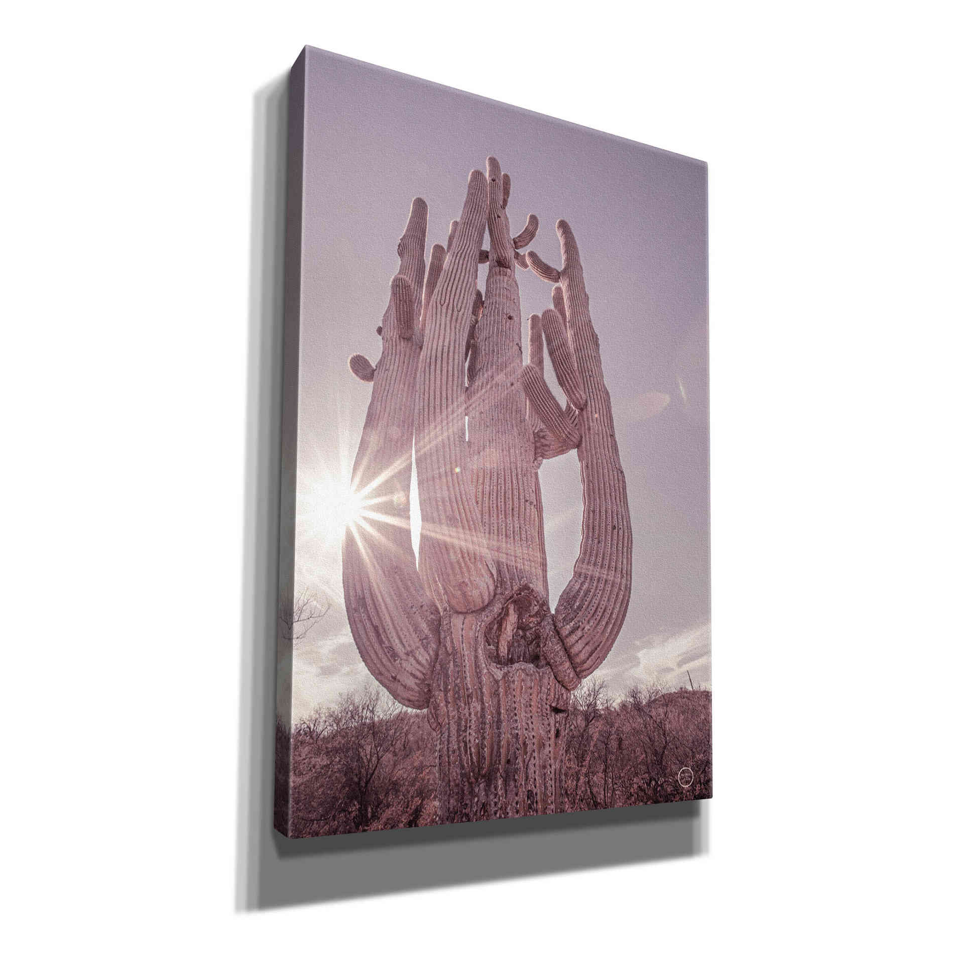 'Dusty Desert Saguaro' by Nathan Larson, Canvas Wall Art
