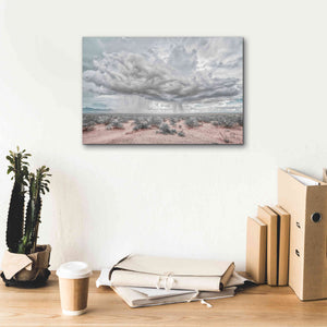 'New Mexico Rain' by Nathan Larson, Canvas Wall Art,18 x 12