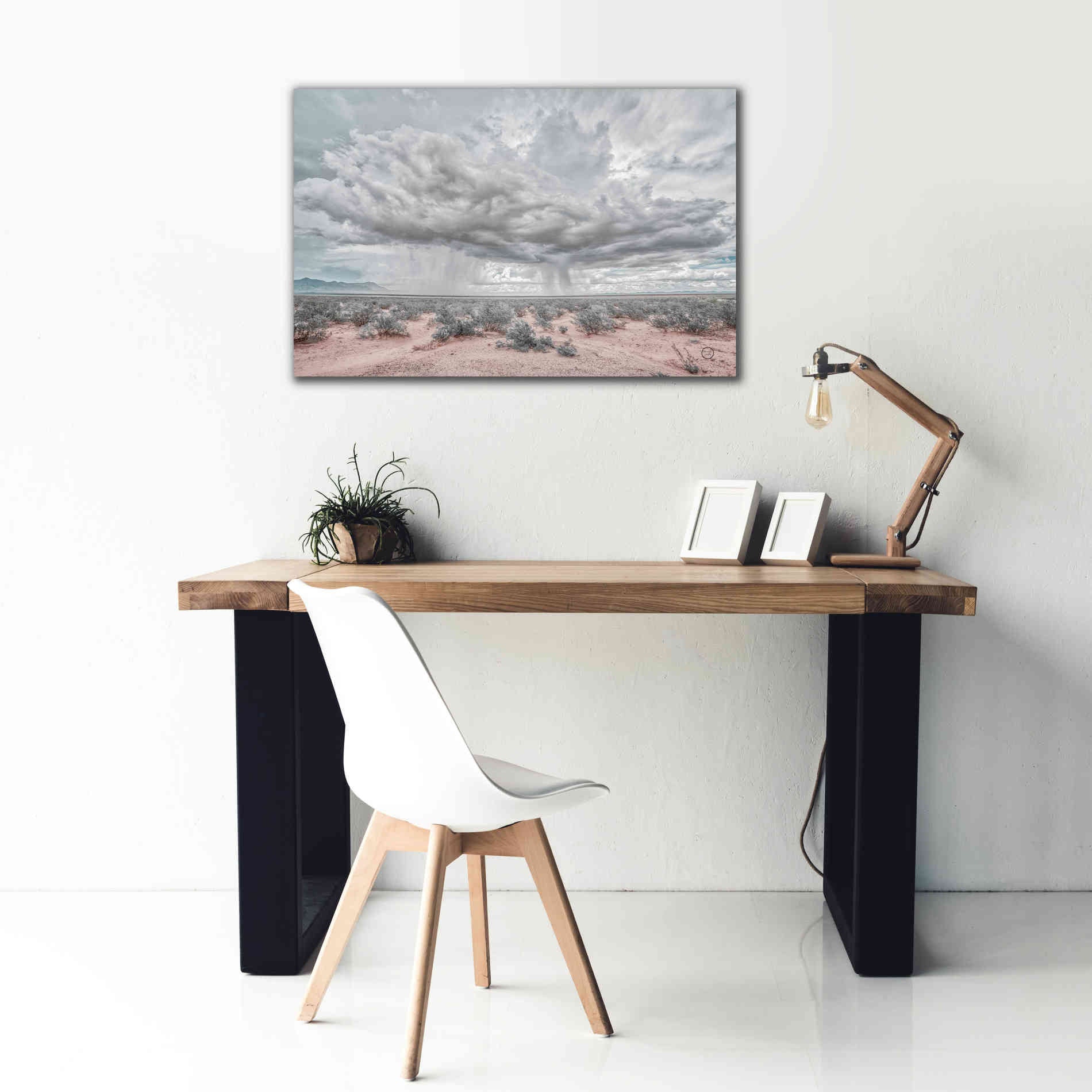 'New Mexico Rain' by Nathan Larson, Canvas Wall Art,40 x 26