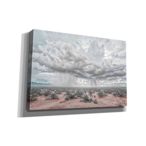 'New Mexico Rain' by Nathan Larson, Canvas Wall Art