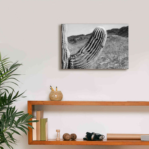 Image of 'Saguaro' by Nathan Larson, Canvas Wall Art,18 x 12
