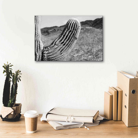 Image of 'Saguaro' by Nathan Larson, Canvas Wall Art,18 x 12