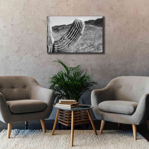 'Saguaro' by Nathan Larson, Canvas Wall Art,40 x 26