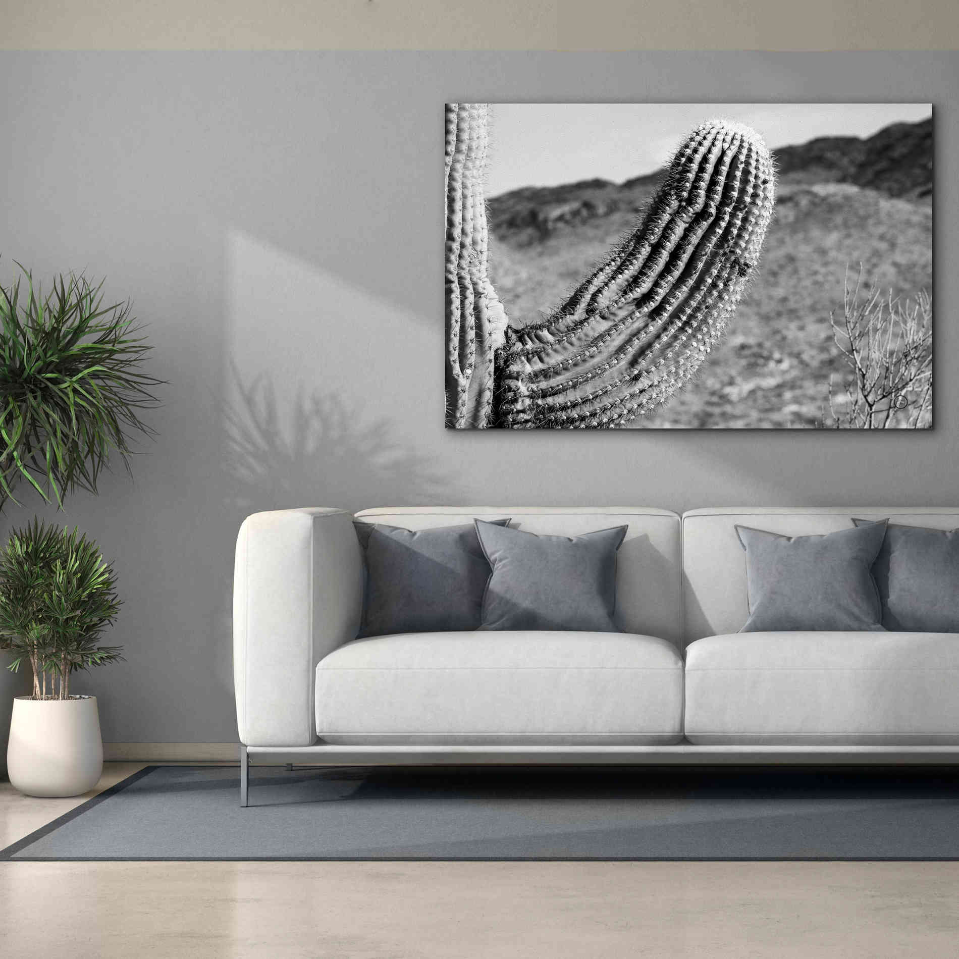 'Saguaro' by Nathan Larson, Canvas Wall Art,60 x 40
