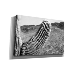 'Saguaro' by Nathan Larson, Canvas Wall Art