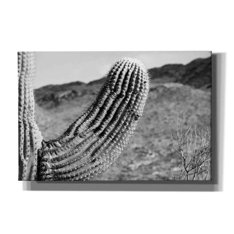 Image of 'Saguaro' by Nathan Larson, Canvas Wall Art