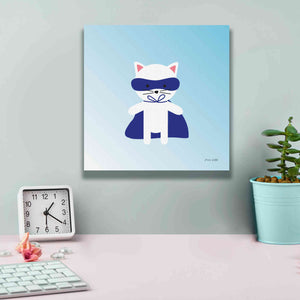 'Cat Super Hero' by Ann Kelle Designs, Canvas Wall Art,12 x 12