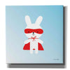 'Rabbit Super Hero' by Ann Kelle Designs, Canvas Wall Art,12x12x1.1x0,18x18x1.1x0,26x26x1.74x0,37x37x1.74x0