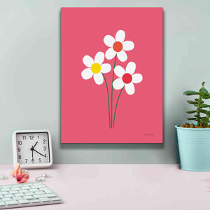 'Daisies I' by Ann Kelle Designs, Canvas Wall Art,12 x 16