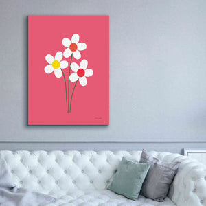 'Daisies I' by Ann Kelle Designs, Canvas Wall Art,40 x 54