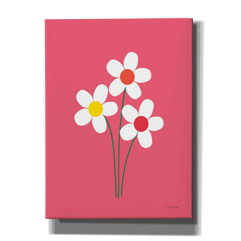 Image of 'Daisies I' by Ann Kelle Designs, Canvas Wall Art,12x16x1.1x0,20x24x1.1x0,26x30x1.74x0,40x54x1.74x0