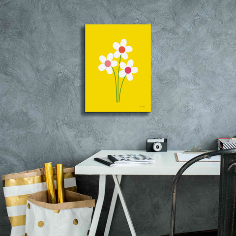Image of 'Daisies II' by Ann Kelle Designs, Canvas Wall Art,12 x 16