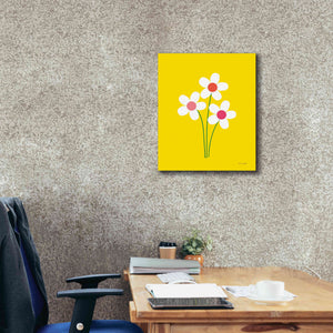 'Daisies II' by Ann Kelle Designs, Canvas Wall Art,20 x 24