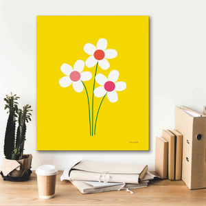 'Daisies II' by Ann Kelle Designs, Canvas Wall Art,20 x 24
