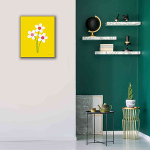 'Daisies II' by Ann Kelle Designs, Canvas Wall Art,20 x 24
