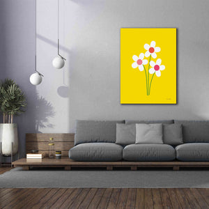 'Daisies II' by Ann Kelle Designs, Canvas Wall Art,40 x 54