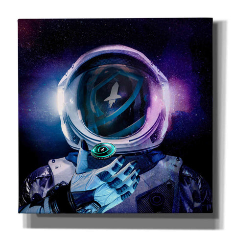Image of 'SafeMoon Crypto,' Canvas Wall Art,12x12x1.1x0,18x18x1.1x0,26x26x1.74x0,37x37x1.74x0