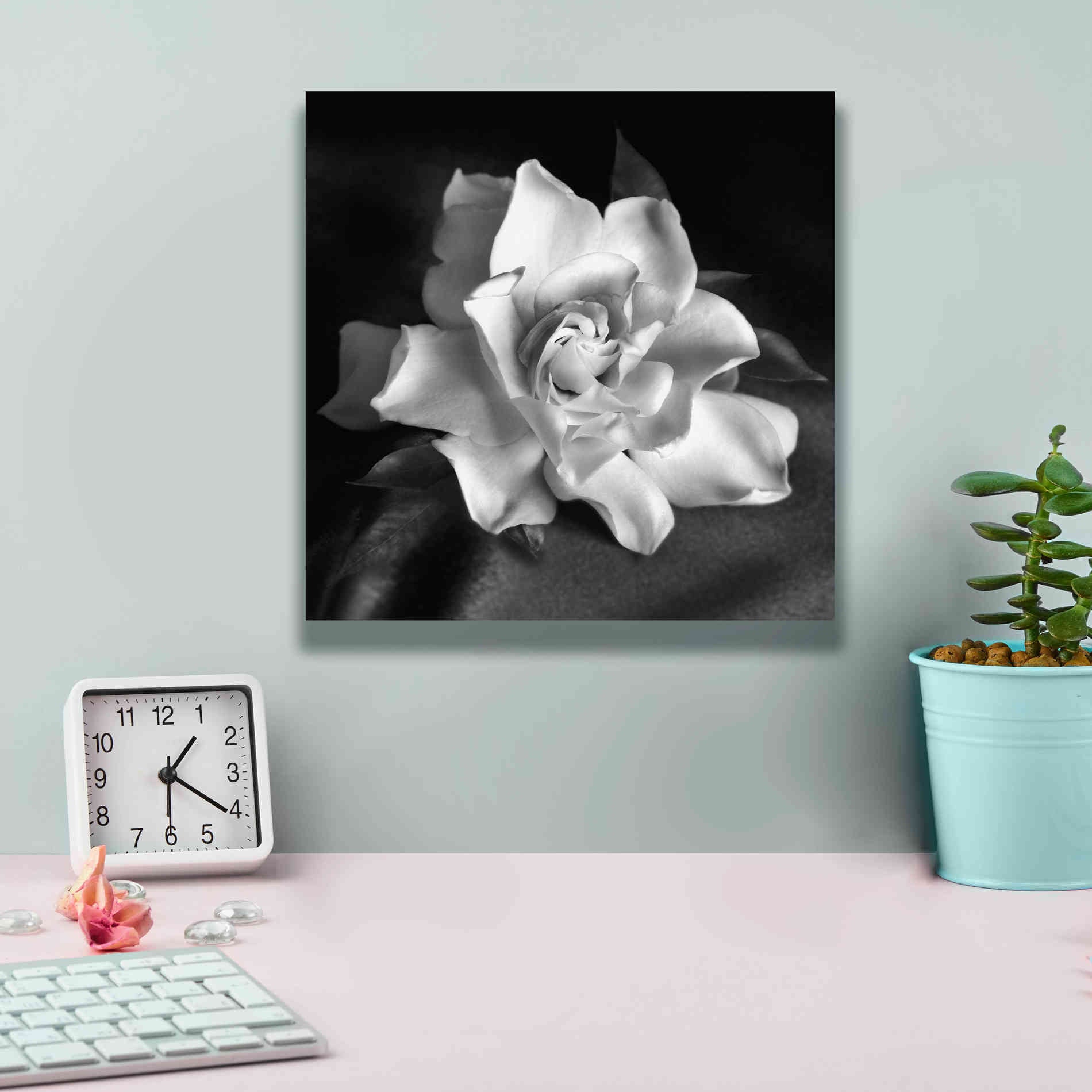 'Gardenia' by Debra Van Swearingen, Canvas Wall Art,12 x 12