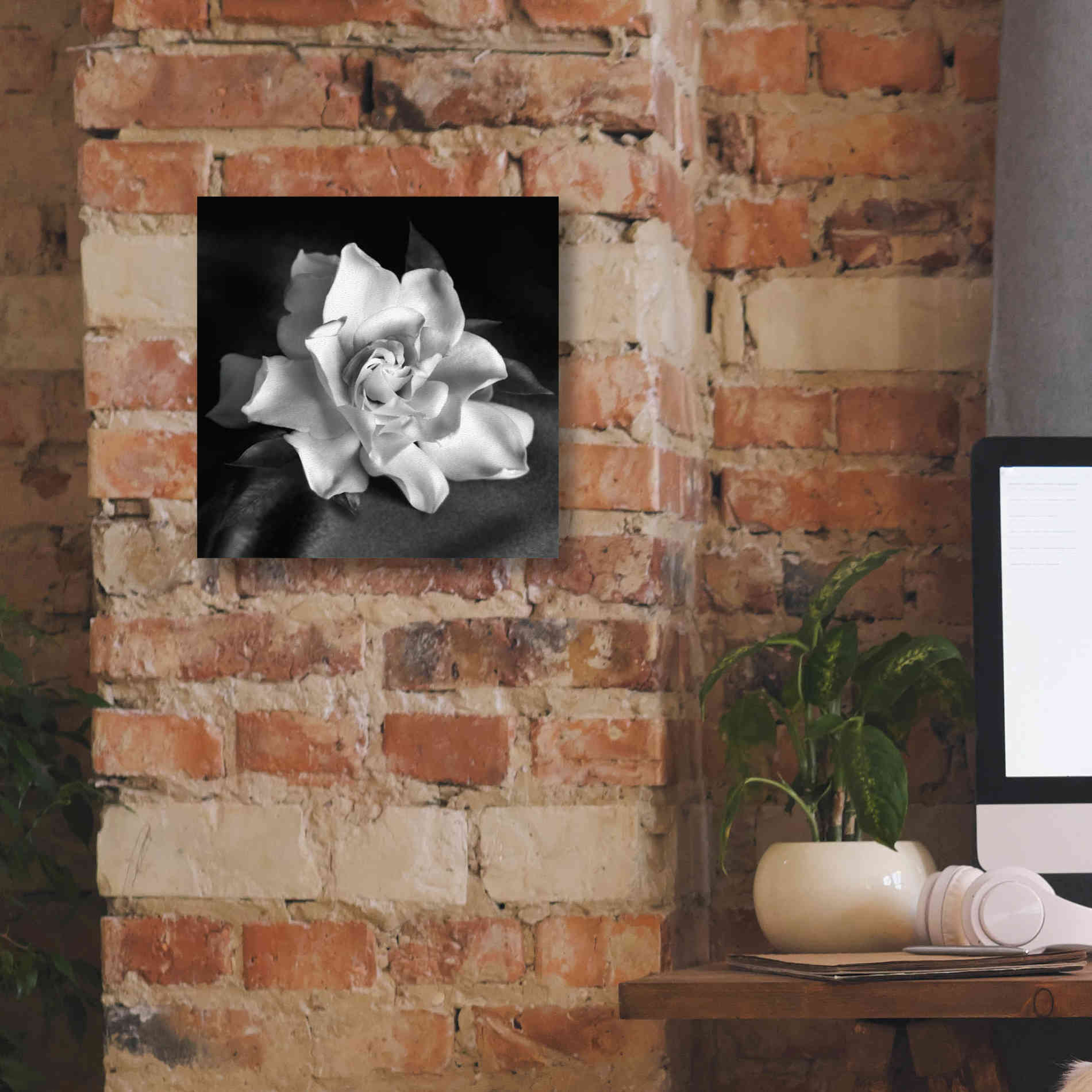'Gardenia' by Debra Van Swearingen, Canvas Wall Art,12 x 12