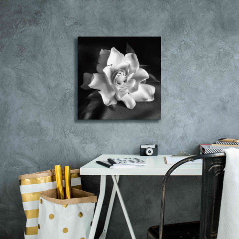 Image of 'Gardenia' by Debra Van Swearingen, Canvas Wall Art,18 x 18