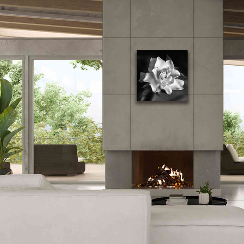 Image of 'Gardenia' by Debra Van Swearingen, Canvas Wall Art,26 x 26