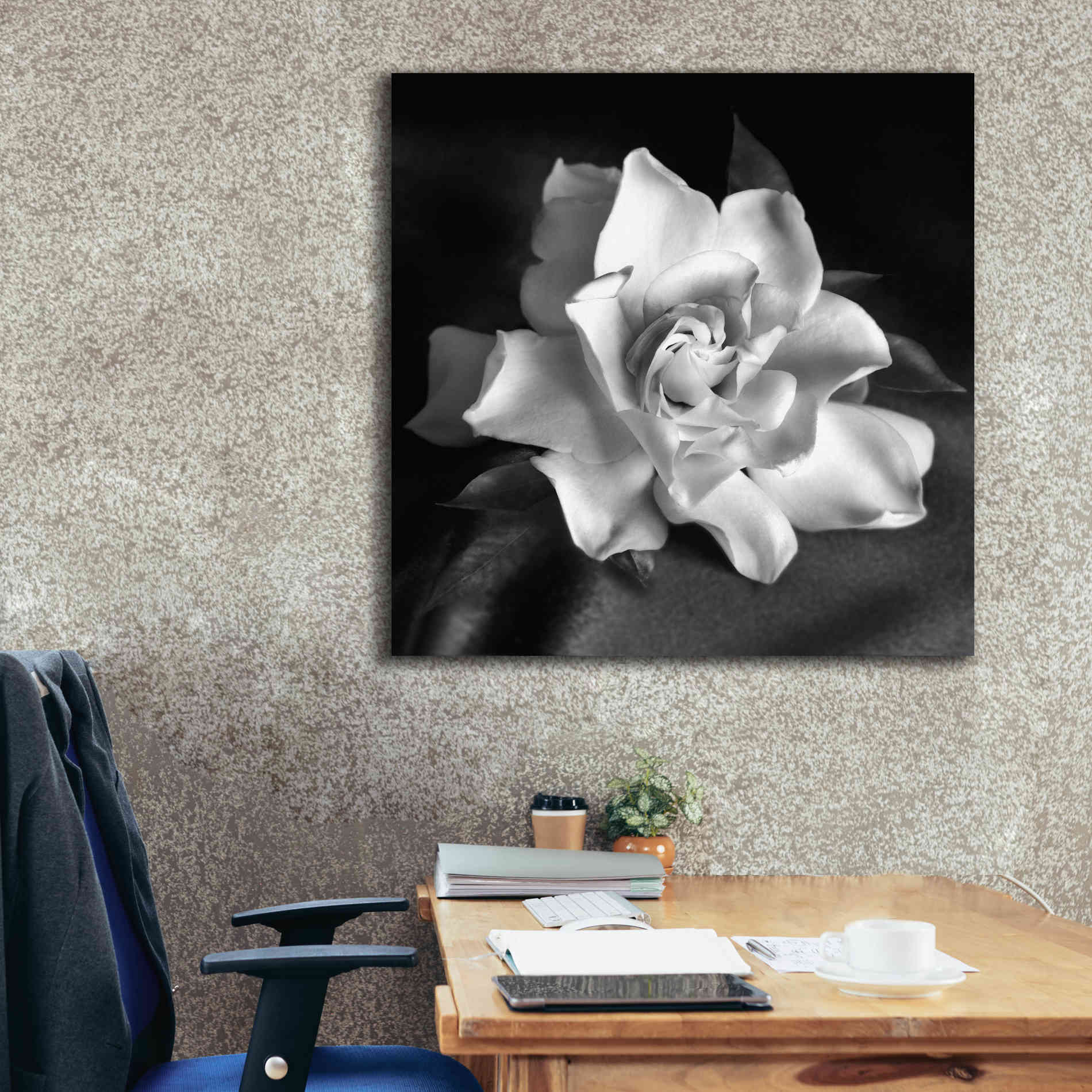 'Gardenia' by Debra Van Swearingen, Canvas Wall Art,37 x 37