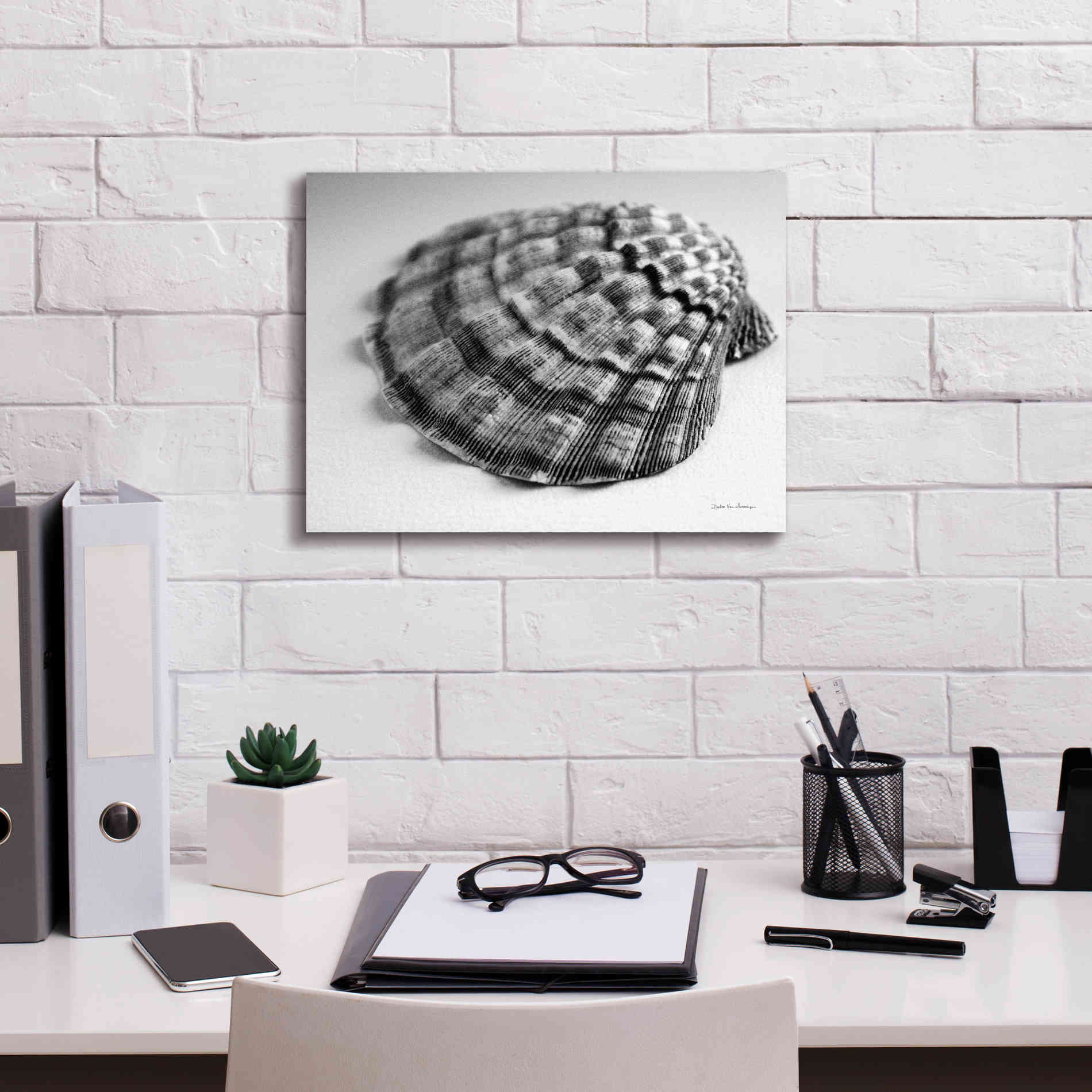 'Scallop 3' by Debra Van Swearingen, Canvas Wall Art,16 x 12