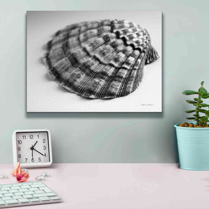 'Scallop 3' by Debra Van Swearingen, Canvas Wall Art,16 x 12