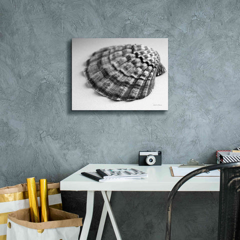 Image of 'Scallop 3' by Debra Van Swearingen, Canvas Wall Art,16 x 12