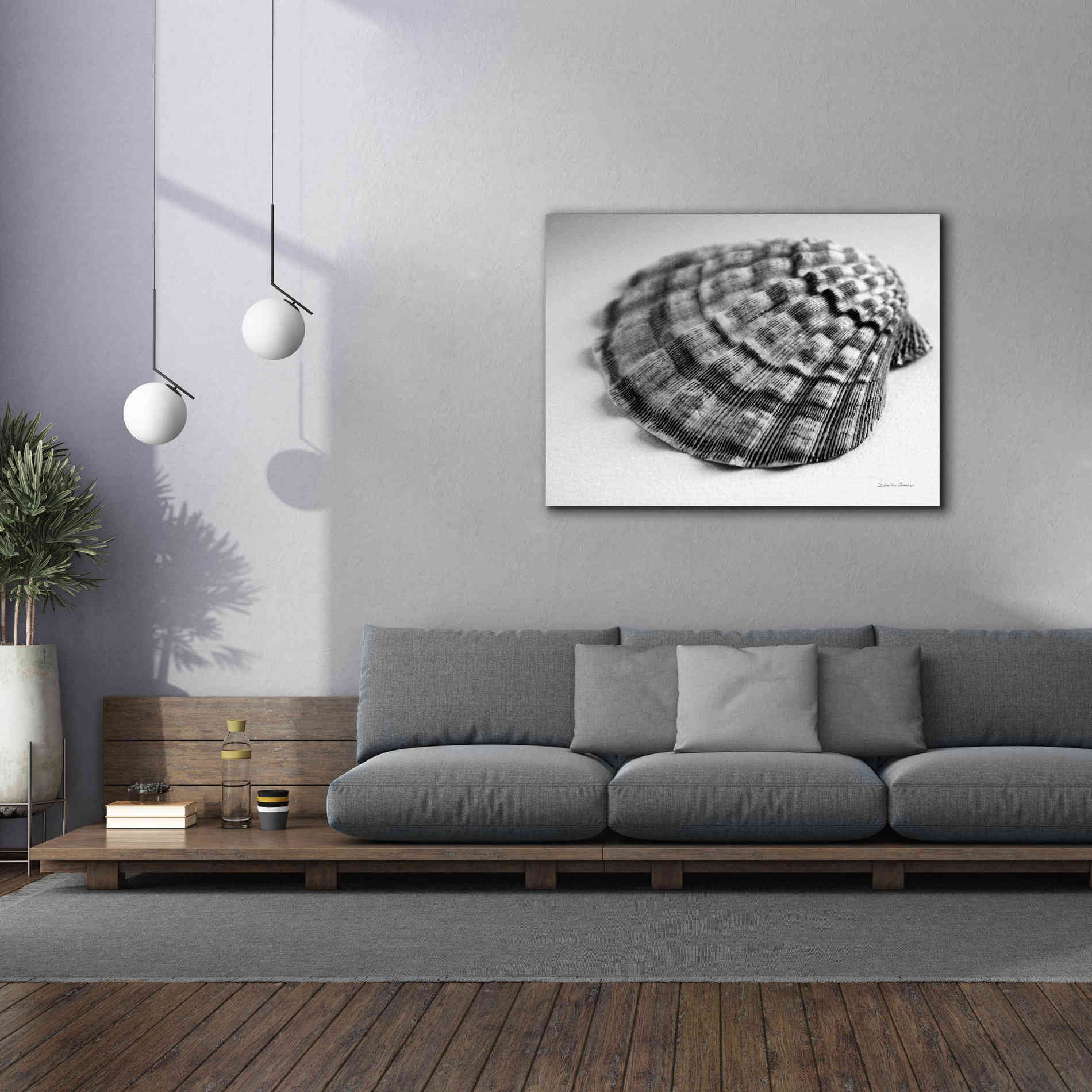 'Scallop 3' by Debra Van Swearingen, Canvas Wall Art,54 x 40