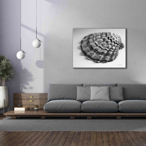 'Scallop 3' by Debra Van Swearingen, Canvas Wall Art,54 x 40