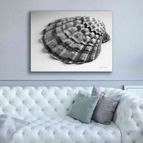Image of 'Scallop 3' by Debra Van Swearingen, Canvas Wall Art,54 x 40