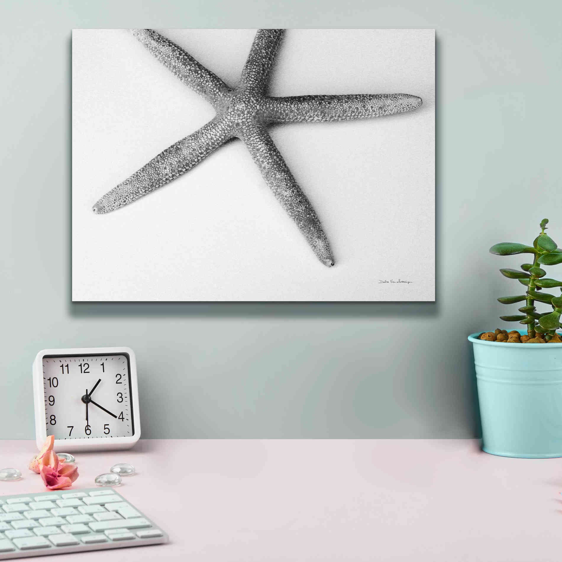 'Starfish Detail' by Debra Van Swearingen, Canvas Wall Art,16 x 12