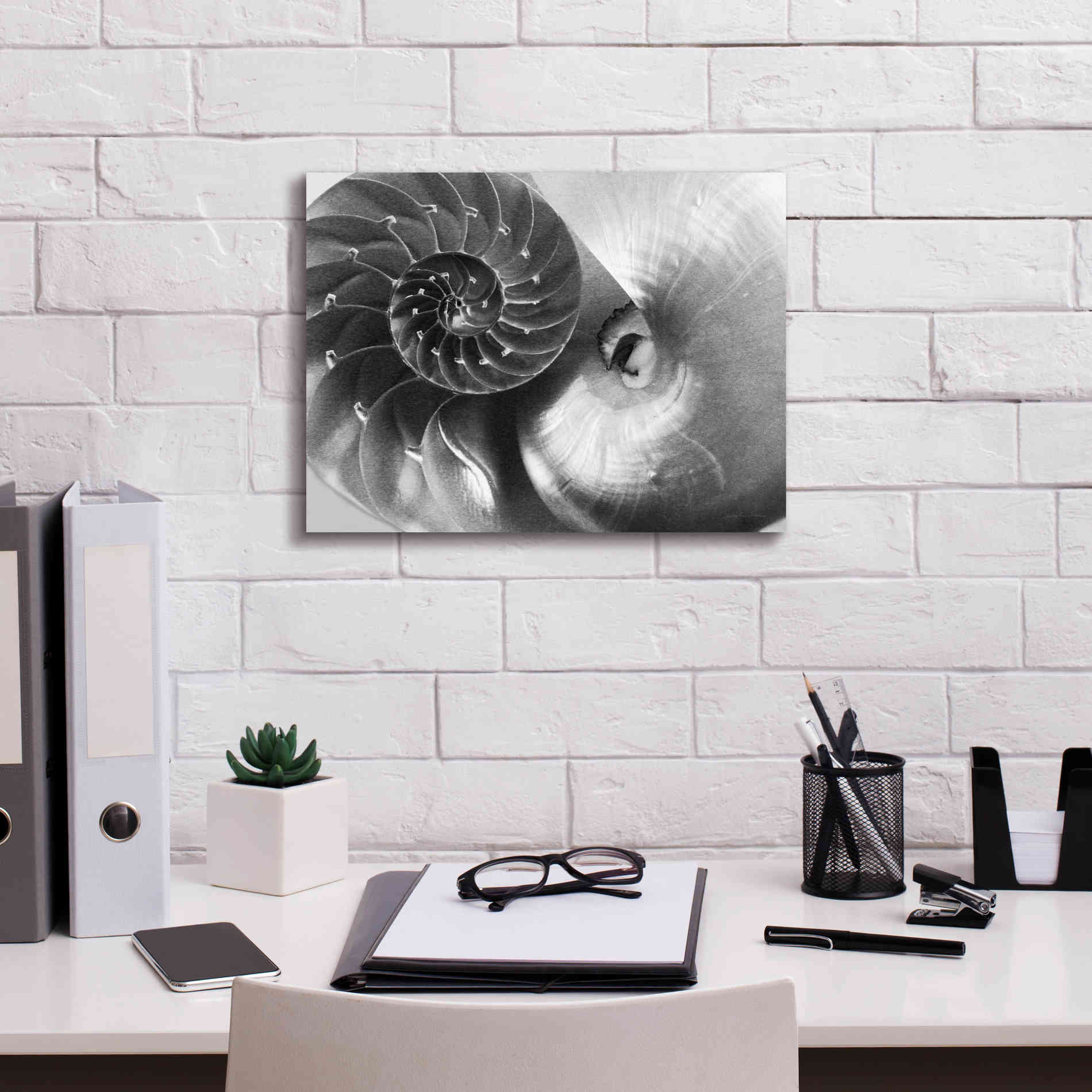 'Nautilus Yin Yang' by Debra Van Swearingen, Canvas Wall Art,16 x 12