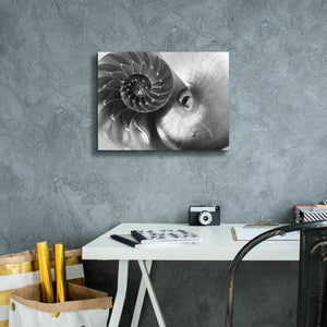 'Nautilus Yin Yang' by Debra Van Swearingen, Canvas Wall Art,16 x 12