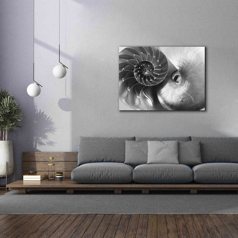 Image of 'Nautilus Yin Yang' by Debra Van Swearingen, Canvas Wall Art,54 x 40