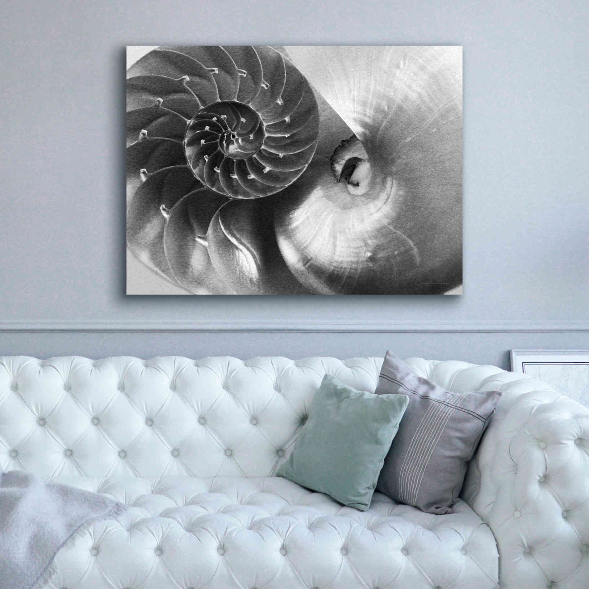 'Nautilus Yin Yang' by Debra Van Swearingen, Canvas Wall Art,54 x 40