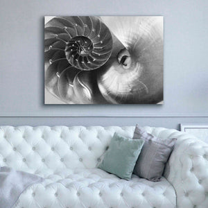 'Nautilus Yin Yang' by Debra Van Swearingen, Canvas Wall Art,54 x 40