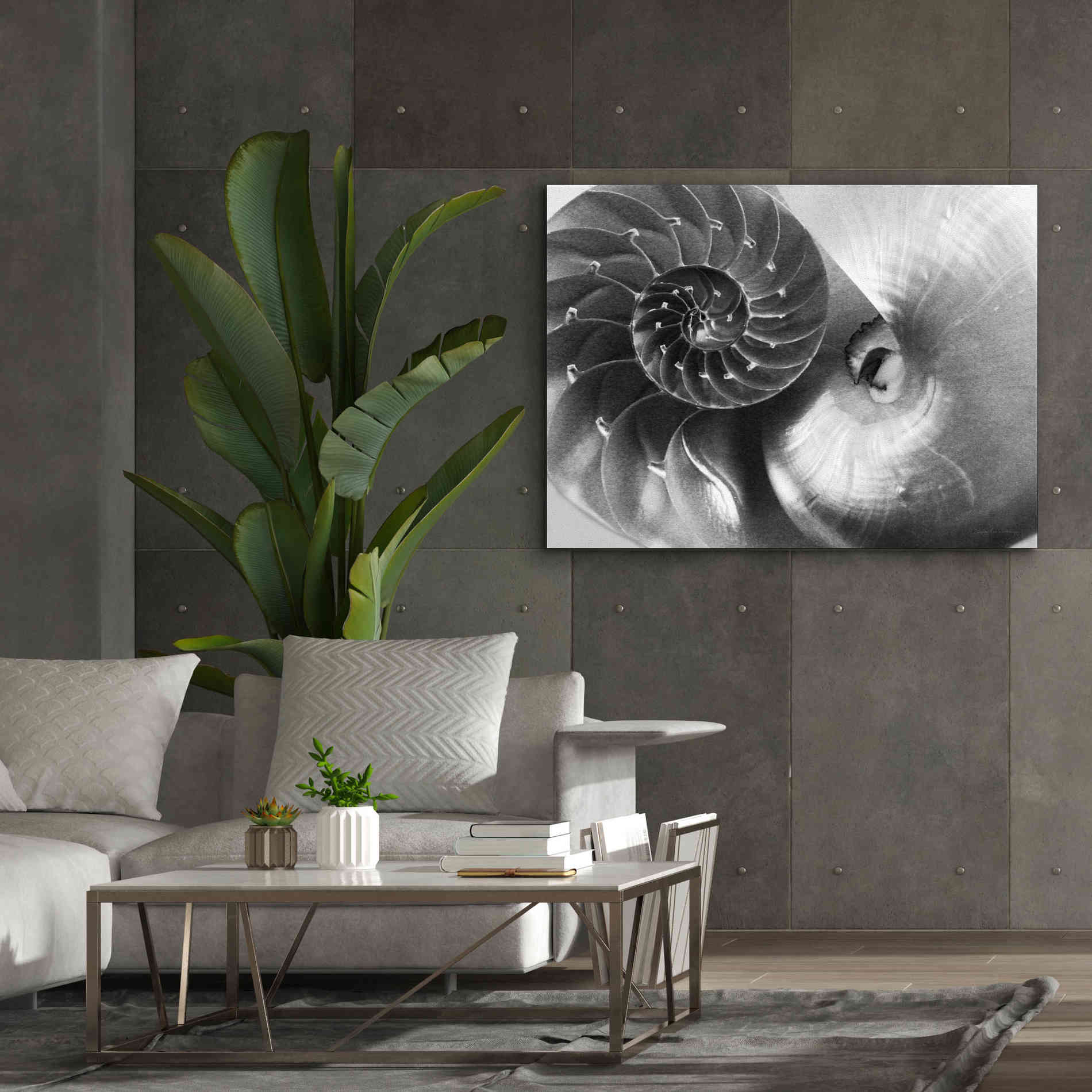 'Nautilus Yin Yang' by Debra Van Swearingen, Canvas Wall Art,54 x 40