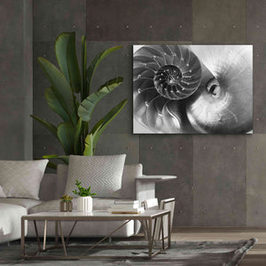'Nautilus Yin Yang' by Debra Van Swearingen, Canvas Wall Art,54 x 40