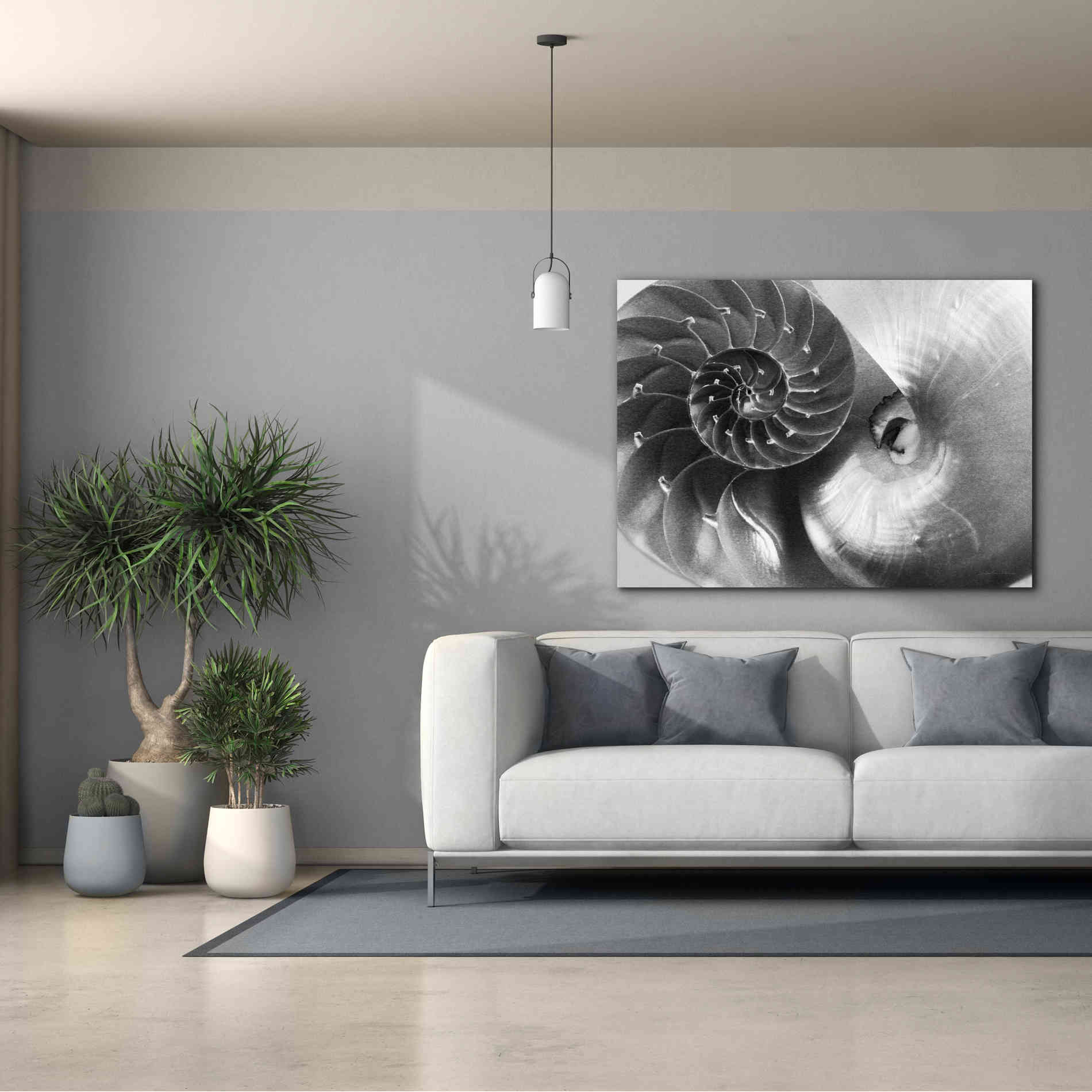 'Nautilus Yin Yang' by Debra Van Swearingen, Canvas Wall Art,54 x 40