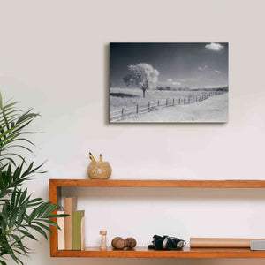 'Trees Fence I' by Debra Van Swearingen, Canvas Wall Art,18 x 12