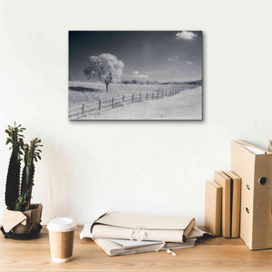 'Trees Fence I' by Debra Van Swearingen, Canvas Wall Art,18 x 12