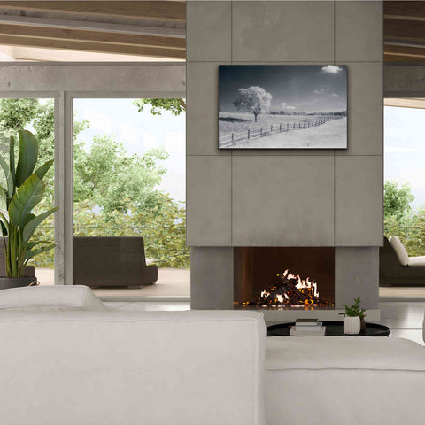 Image of 'Trees Fence I' by Debra Van Swearingen, Canvas Wall Art,40 x 26