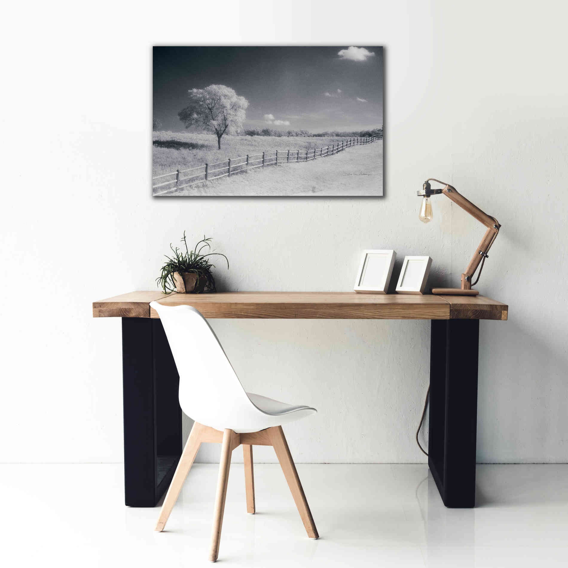 'Trees Fence I' by Debra Van Swearingen, Canvas Wall Art,40 x 26